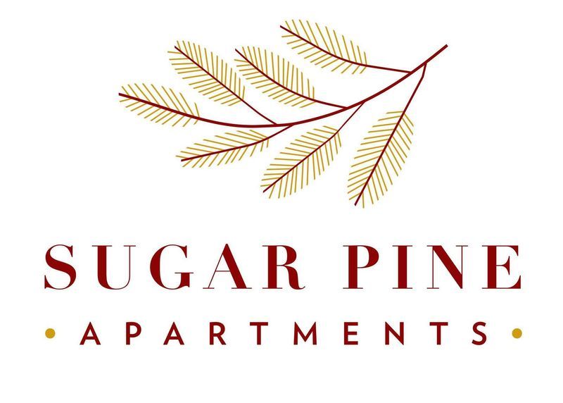 Luxury Apartment Houston Houston Apartment for Rent Sugar Pine